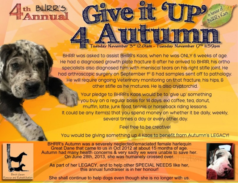 give it up for autumn - 2015 (Medium)